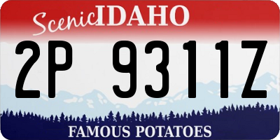 ID license plate 2P9311Z