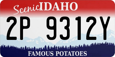 ID license plate 2P9312Y