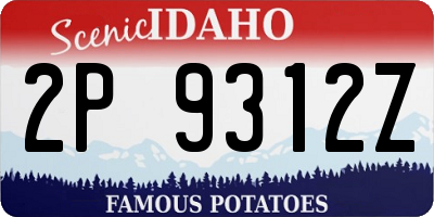 ID license plate 2P9312Z