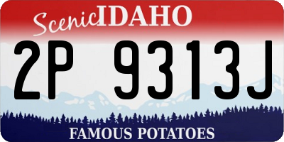 ID license plate 2P9313J