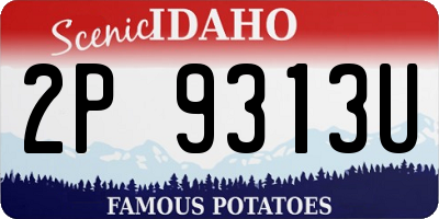 ID license plate 2P9313U