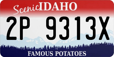 ID license plate 2P9313X