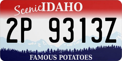 ID license plate 2P9313Z