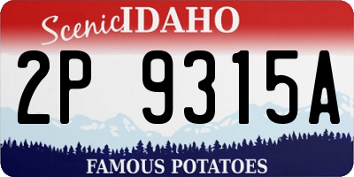 ID license plate 2P9315A