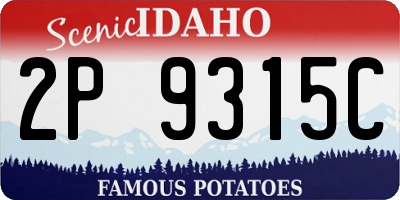 ID license plate 2P9315C