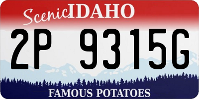 ID license plate 2P9315G