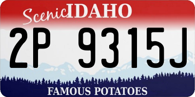 ID license plate 2P9315J