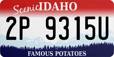 ID license plate 2P9315U