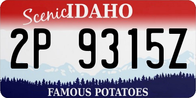 ID license plate 2P9315Z