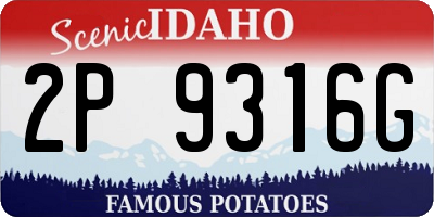 ID license plate 2P9316G