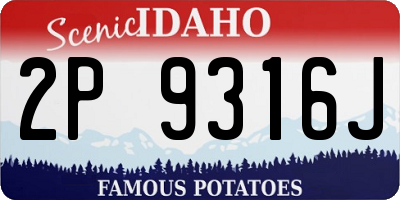 ID license plate 2P9316J