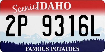 ID license plate 2P9316L