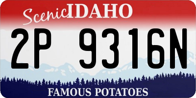 ID license plate 2P9316N