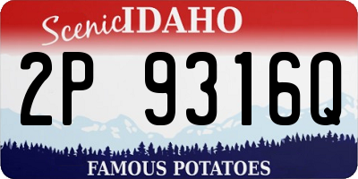 ID license plate 2P9316Q