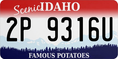 ID license plate 2P9316U