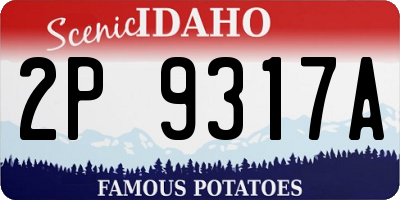 ID license plate 2P9317A