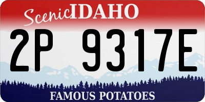 ID license plate 2P9317E