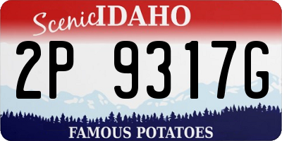 ID license plate 2P9317G