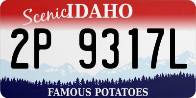 ID license plate 2P9317L