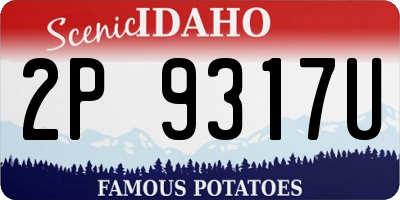 ID license plate 2P9317U