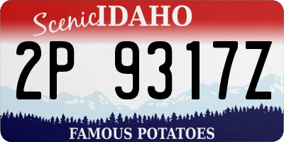 ID license plate 2P9317Z