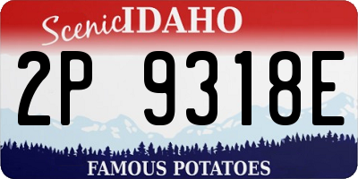 ID license plate 2P9318E