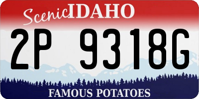 ID license plate 2P9318G