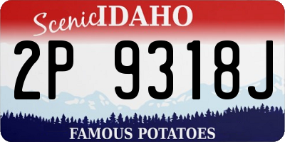 ID license plate 2P9318J