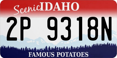 ID license plate 2P9318N