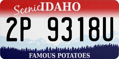 ID license plate 2P9318U