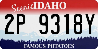 ID license plate 2P9318Y