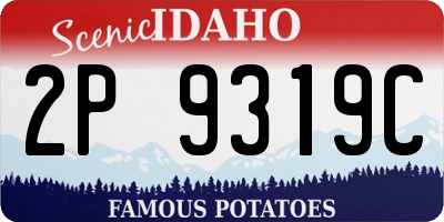 ID license plate 2P9319C