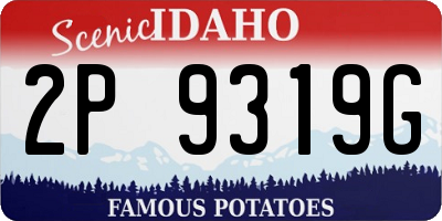 ID license plate 2P9319G