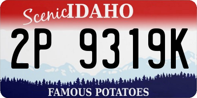 ID license plate 2P9319K