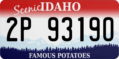 ID license plate 2P9319O