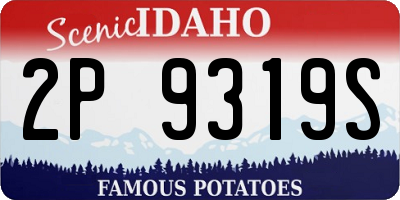 ID license plate 2P9319S