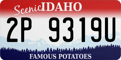 ID license plate 2P9319U