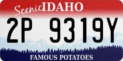ID license plate 2P9319Y
