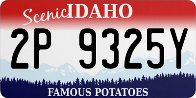 ID license plate 2P9325Y