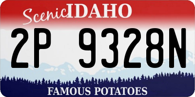 ID license plate 2P9328N