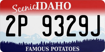 ID license plate 2P9329J
