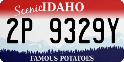 ID license plate 2P9329Y