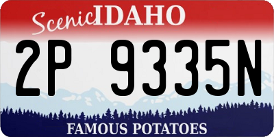 ID license plate 2P9335N
