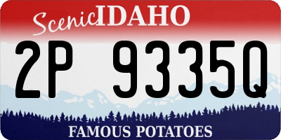 ID license plate 2P9335Q