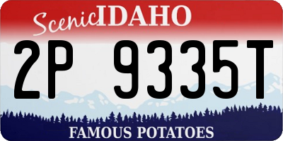 ID license plate 2P9335T