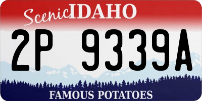 ID license plate 2P9339A