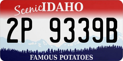 ID license plate 2P9339B