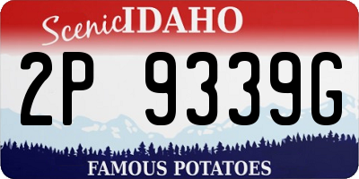ID license plate 2P9339G