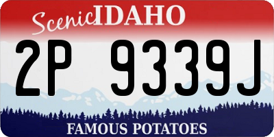 ID license plate 2P9339J