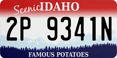 ID license plate 2P9341N